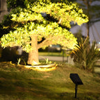 Matteo Solar RGB Garden Spotlight