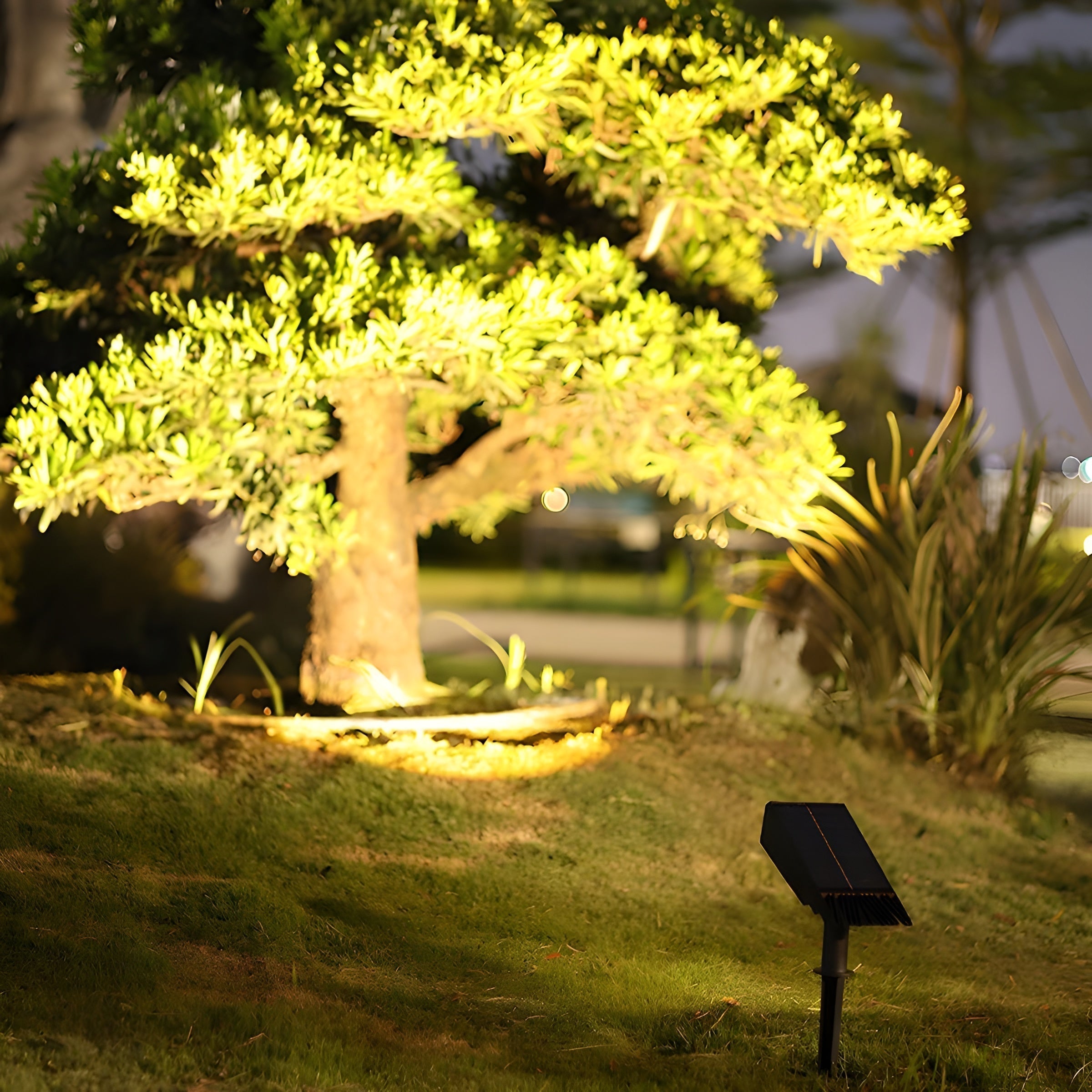 Matteo Solar RGB Garden Spotlight